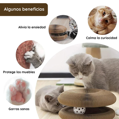 Rascador interactivo "Katty Motion"